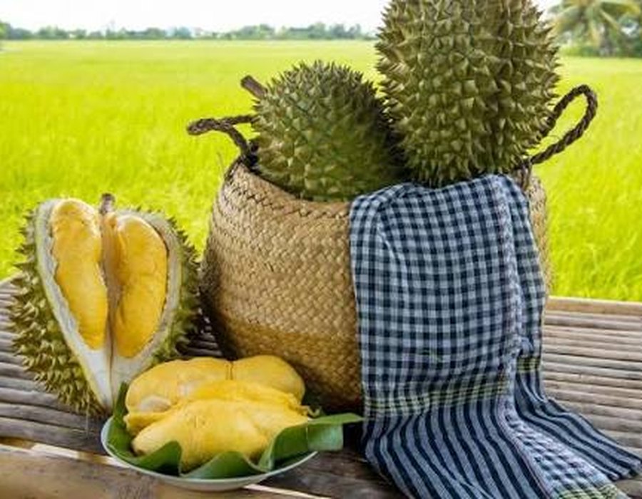 Ri6 durian, whole and opened